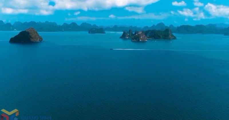 Biểu đồ thể hiện sự tăng trưởng của lượng khách du lịch đến Quảng Ninh hoặc Vịnh Hạ Long trong những năm gần đây